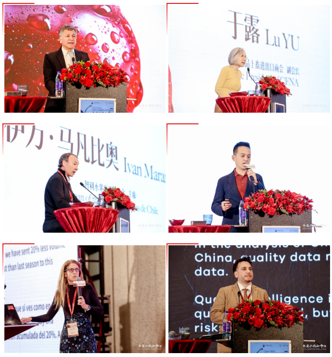 1768812786793385.png image.png